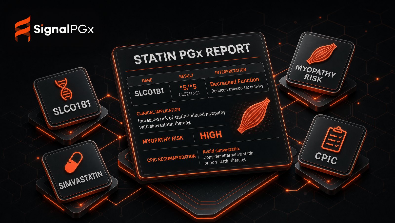 Isometric diagram: an SLCO1B1 result driving a statin myopathy-risk PGx report per CPIC