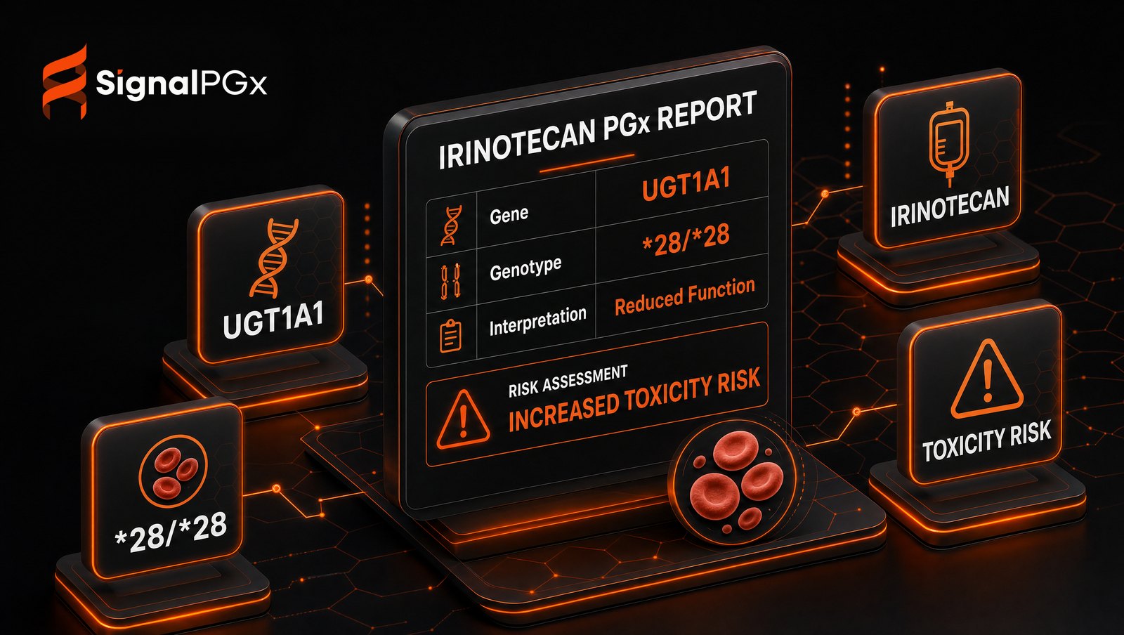 Isometric diagram: a UGT1A1 *28/*28 result driving an irinotecan toxicity-risk PGx report